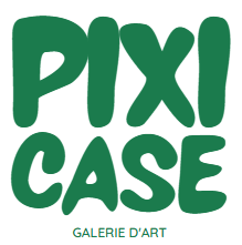 pixi case